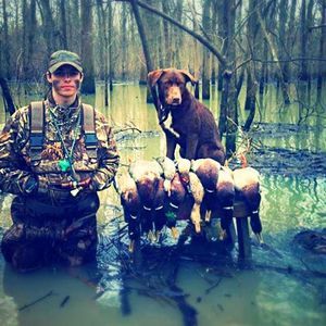 Meet your Posher, Justin